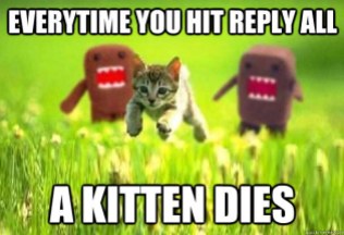 email kitten