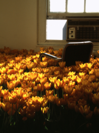 Chair in flowers.PNG